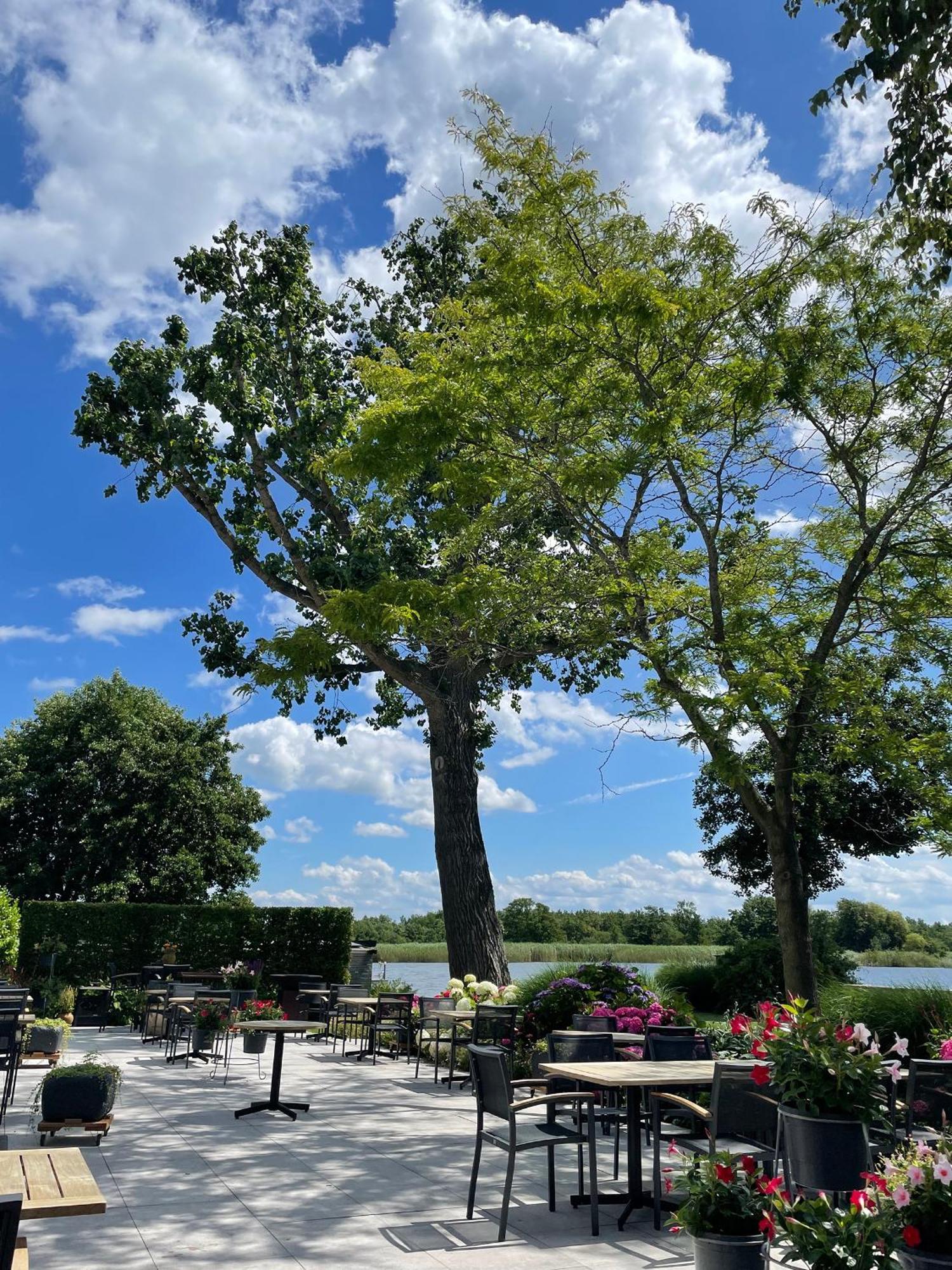 Restaurant-Hotel De Watergeus Noorden Kültér fotó